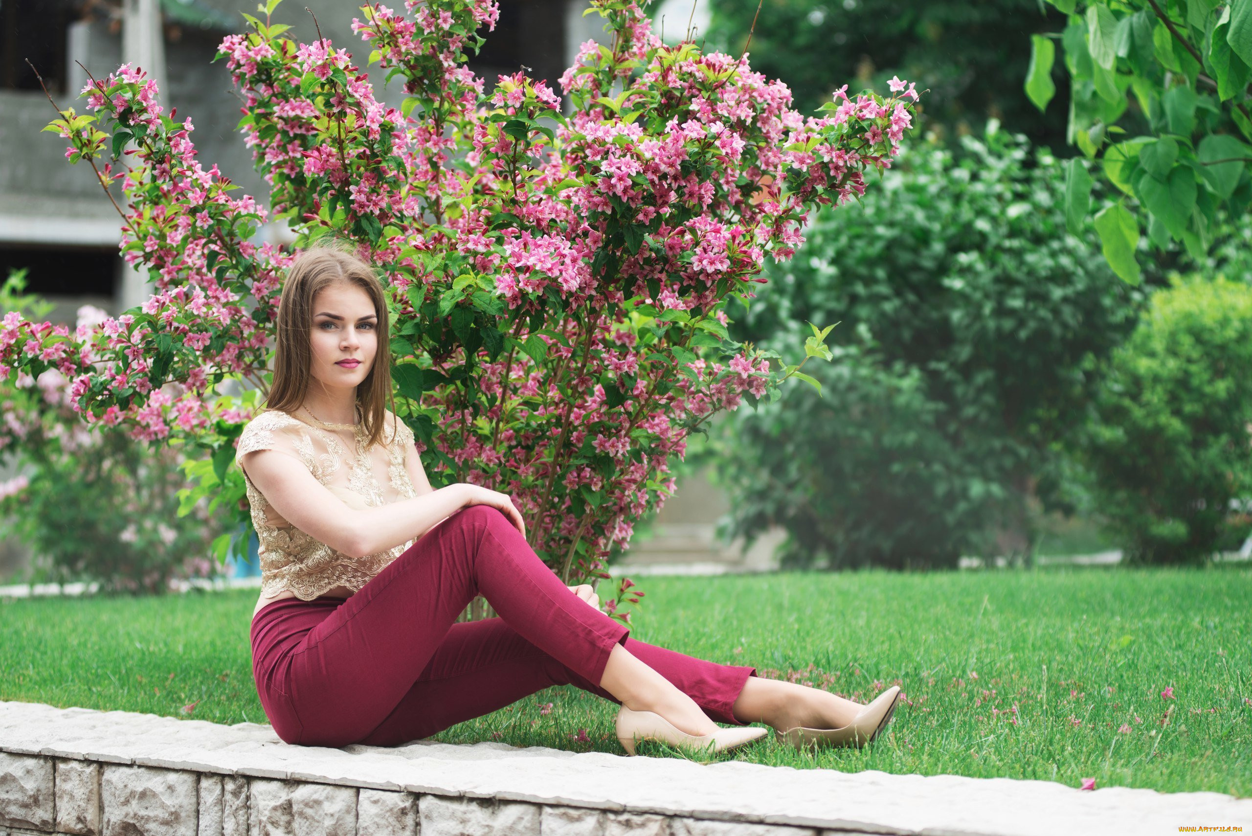  , , - ,  , , , , , , , , , , , , , , , , , , , , , , , , , , , 